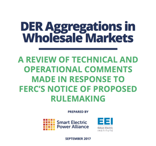 SEPA DER aggregation report cover image.png